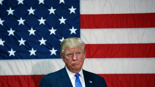 Donald Trump's Jobs Plan: Folks, Is It Hot In Here, Or What?